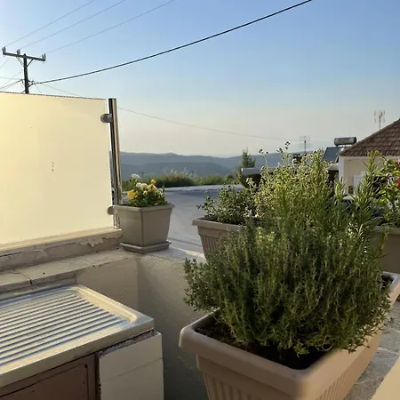 Trachos Traditional House Σάλακος