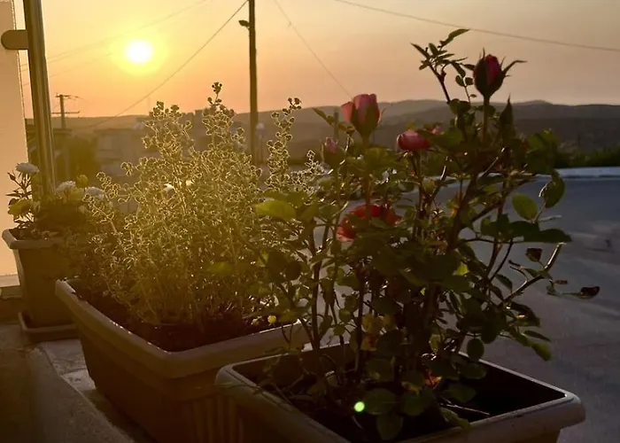Trachos Traditional House Σάλακος