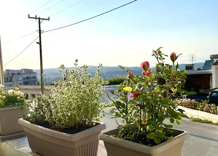 Trachos Traditional House * Σάλακος